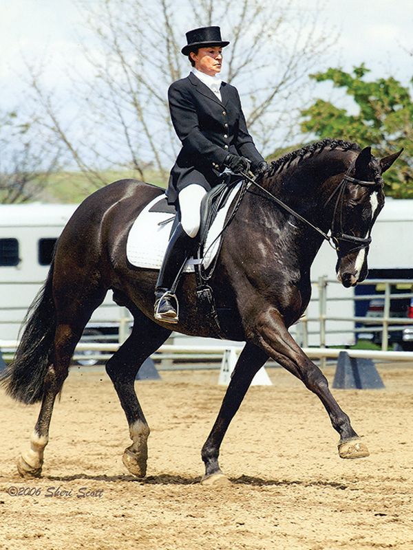 riding horses middle-age, older person wants to ride horses, how to start riding horses senior, grit high dressage,lorraine laframboise equestrian, sandra sokolosky riding horses