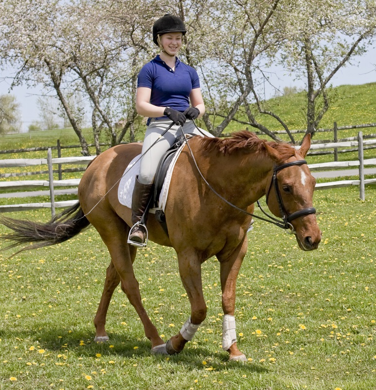how to stay calm while riding my horse, how to learn from my horse riding mistakes, annika mcgivern, enjoying my horse ride