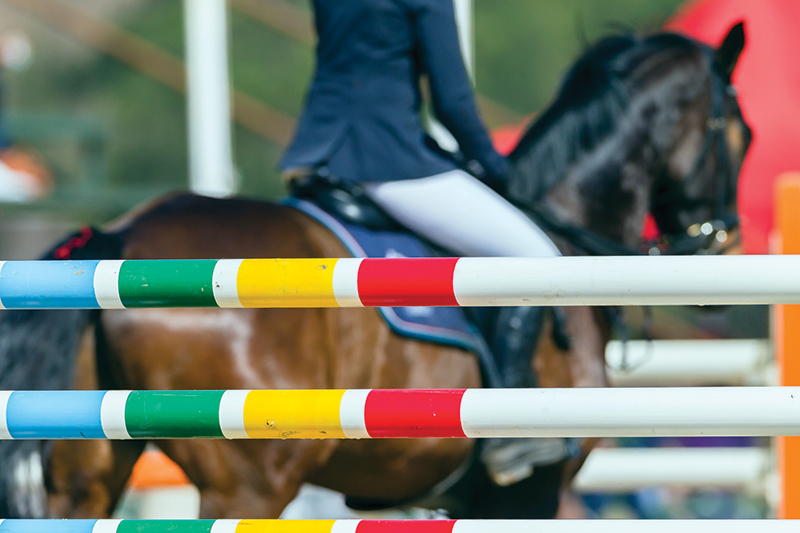 george morris sexual misconduct appeal, us centre for safesport findings george morris, chef de quipe american show jumping sexual misconduct