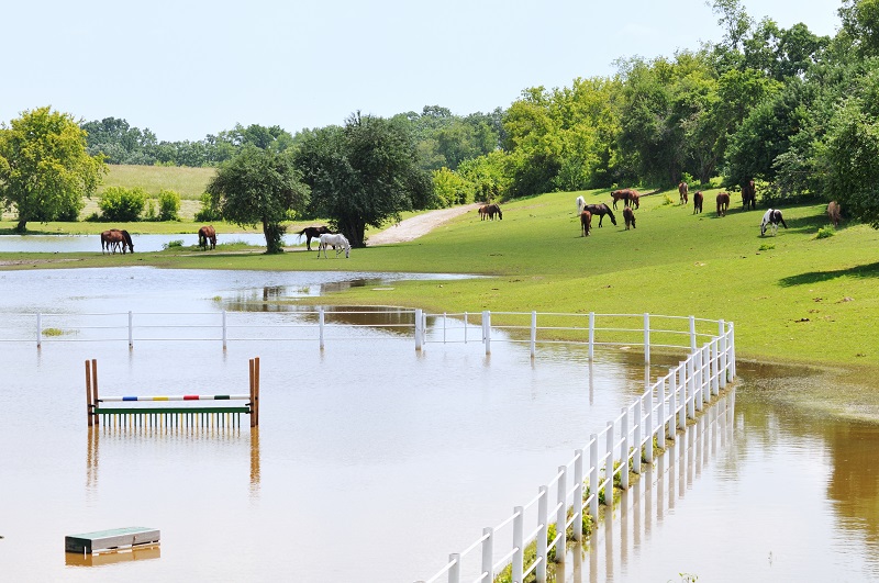 Insurance Coverage for horse industry, natural disaster insurance coverage, Homeowners’ Insurance Policy, horse barn fire coverage, mitigate insurance risks