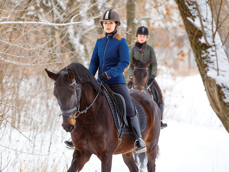 training horse after winter, jec ballou, how to increase my horse's fitness