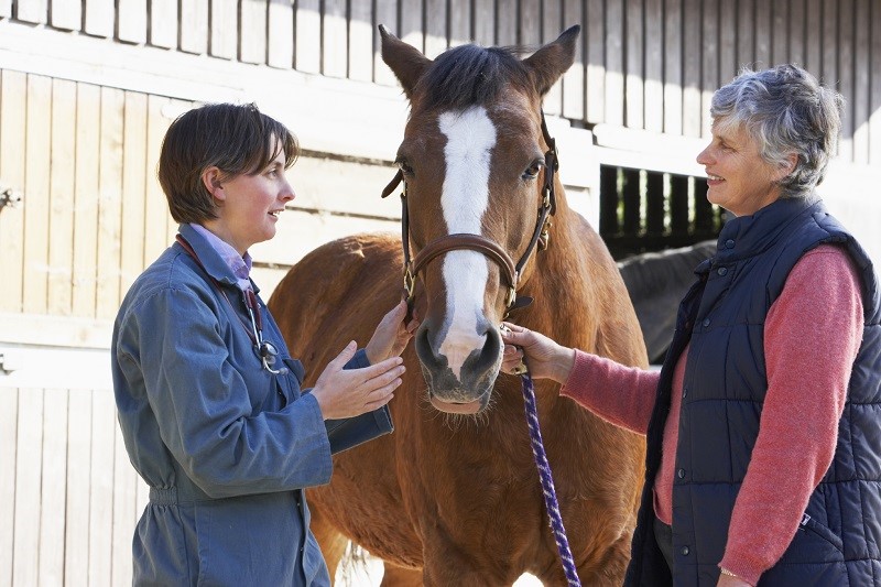 Equine Code of Practice, Equine Care, Equine Handling, Equine Code, Canada Equine Code, 2013 Equine Code, Judith Lavoie