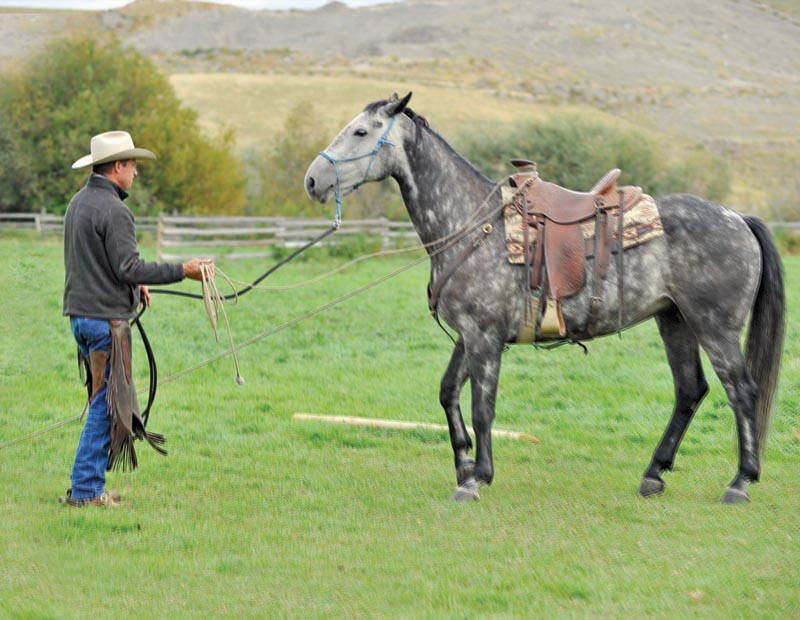horse groundwork, Build Your Horse’s Confidence with jonathan field, natural horsemanship, exercises with horses, jonathan field dragging a log, horse confidence