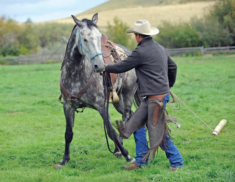 horse groundwork, Build Your Horse’s Confidence with jonathan field, natural horsemanship, exercises with horses, jonathan field dragging a log, horse confidence
