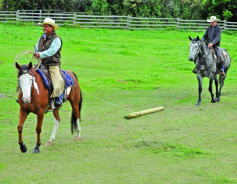Build Your Horse’s Confidence with jonathan field, natural horsemanship, exercises with horsesBuild Your Horse’s Confidence with jonathan field, natural horsemanship, exercises with horses, jonathan field dragging a log, horse confidence