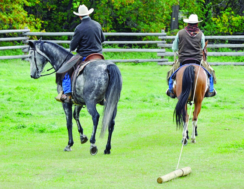 Build Your Horse’s Confidence with jonathan field, natural horsemanship, exercises with horsesBuild Your Horse’s Confidence with jonathan field, natural horsemanship, exercises with horses, jonathan field dragging a log, horse confidence