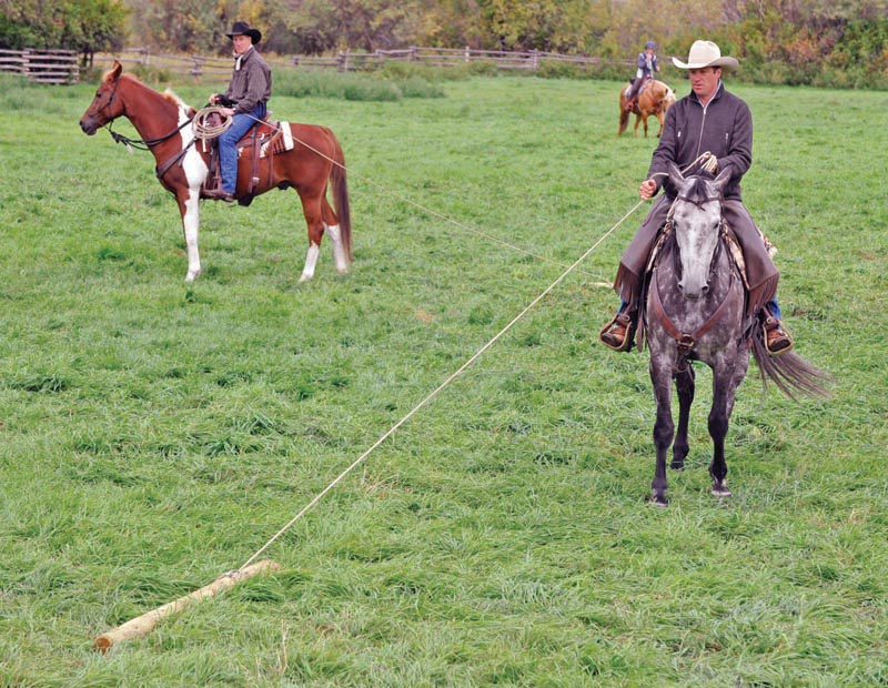 Build Your Horse’s Confidence with jonathan field, natural horsemanship, exercises with horses, jonathan field dragging a log, horse confidence