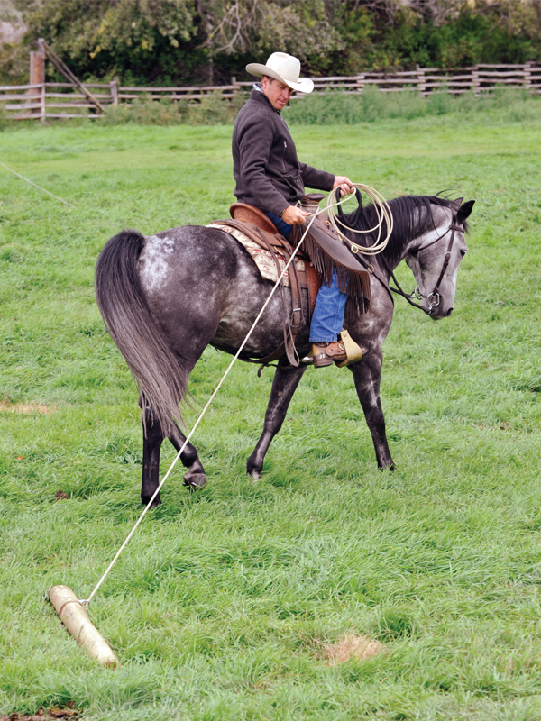 Build Your Horse’s Confidence with jonathan field, natural horsemanship, exercises with horses, jonathan field dragging a log, horse confidence