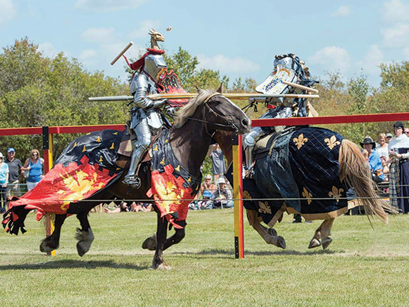extreme horse sports in canada, archery on horseback, jousting on horseback, swordplay on horseback, Indian relay racing on horseback, shooting firearms on horseback