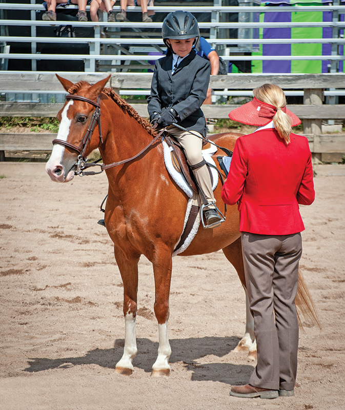 lindsay grice, preparing for a horse competition, psychology of riding horses, helping an anxious horse, horse refuses, horse won't cooperate