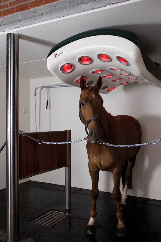 overcoming Equine Lameness, new equine lameness technology, how to rehab lame horse, equine Hyperbaric Oxygen Therapy, Infrared therapy for horses, equine hydrotherapy