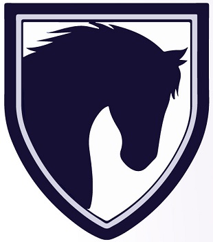 Langley Equestrian Academy Offers Path to Equestrian and Academic ...
