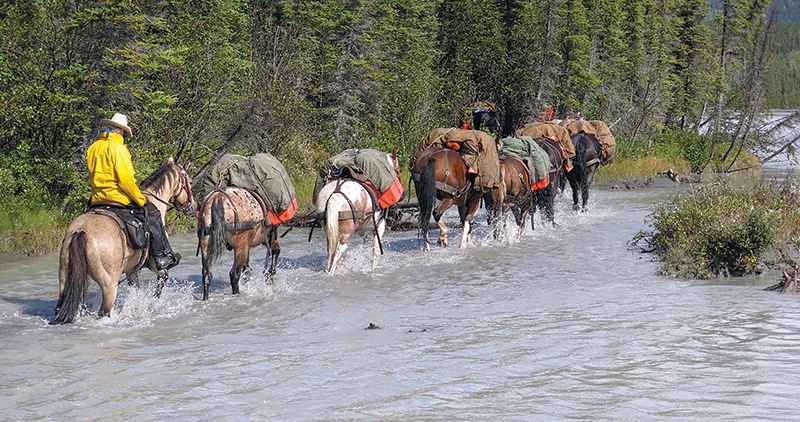 horse riding vacations in bc, holidays on horseback, muskwa-kechika horse rides, tania millen, wayne sawchuk