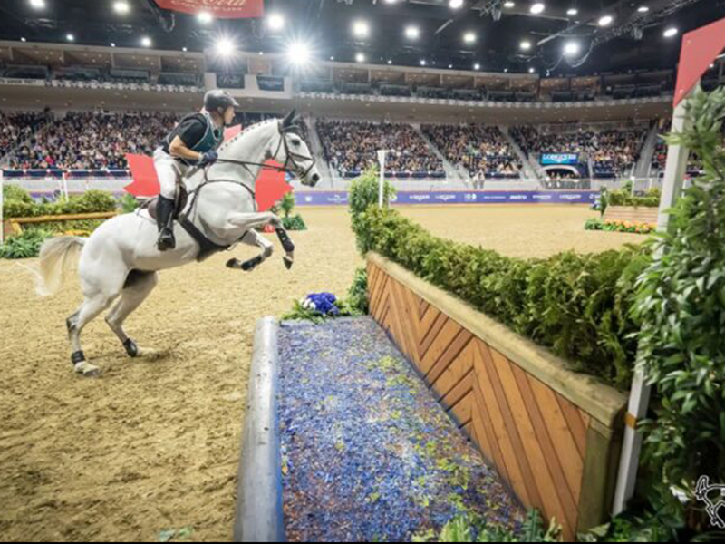 michael jung show jumper, royal horse show indoor eventing challenge