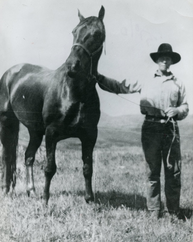 Midnight horse, Jim McNab Cottonwood Ranch, remarkable canadian horse Midnight horse
