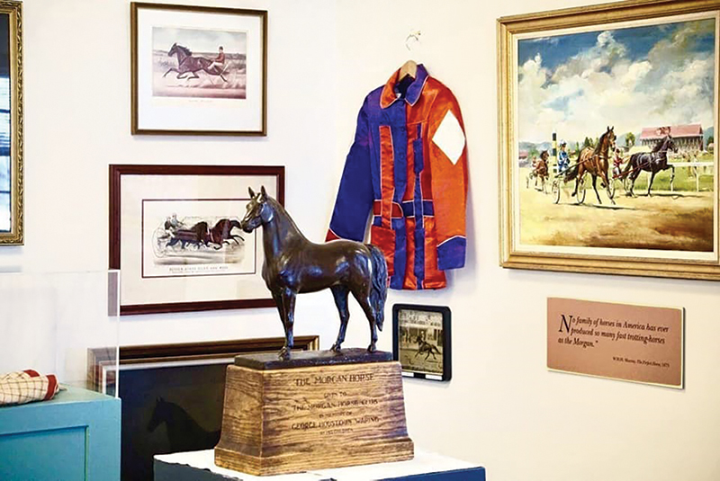 national museum of morgan horse pineland farms equestrian centre