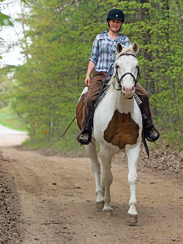 trail hack to build equine fitness