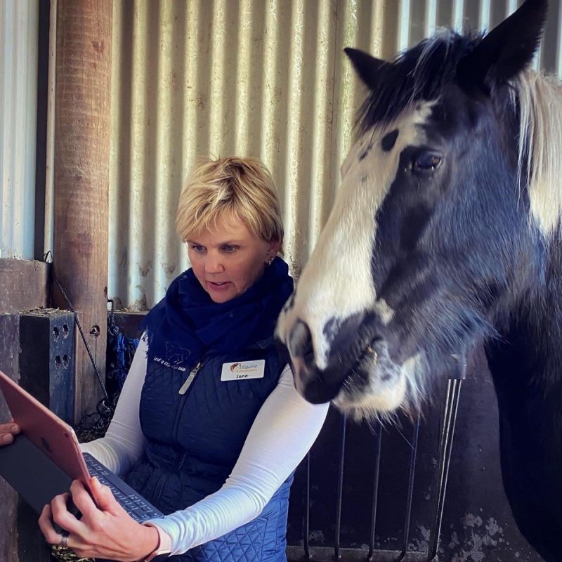 equine connection equine-assisted learning certification,  horse courses calgary, virtual horse courses, riding for disabled courses, therapeutic riding, continuing education equine courses