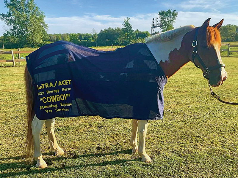 Cowboy, the CanTRA Therapy Horse of the Year. Photo: Angie Ruigrok