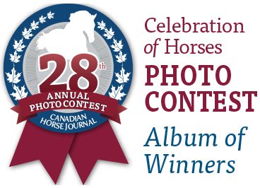 photo contest horses, canadian horse journal photo contest, celebration of horses