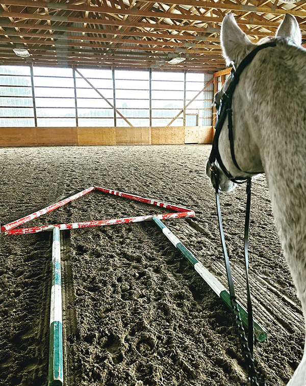 pole exercises horse, equine calisthenic exercises, jec ballou, how to increase my horse's fitness
