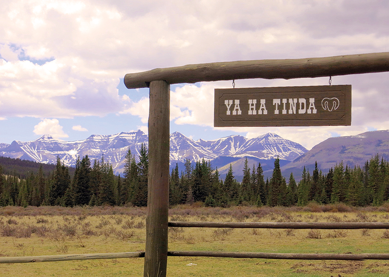 trail riding canada, horseback riding canada, ya ha tinda working horse ranch, camping with hores canada