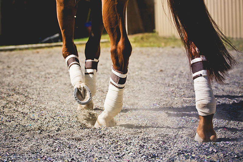 proper riding arena footing, ideal riding arena surfaces, White Paper Equestrian Surfaces, equestrian surfaces, riding arena irrigation systems, riding arena crystalline silica dust