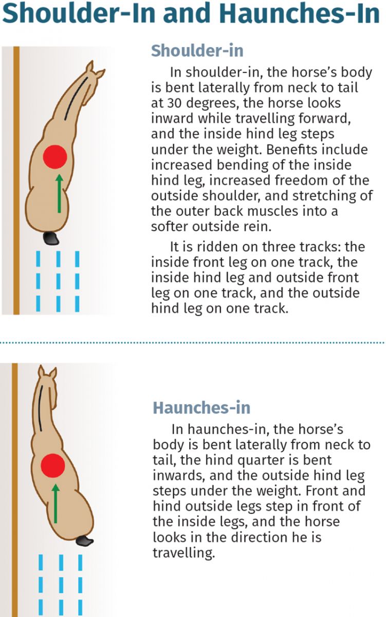 horse to lateral work Jec A. Ballou prancing dressage horses, lateral movements shoulder-in haunches-in dressage exercises, conditioning horse, offer unrivaled conditioning effects for almost any equine athlete