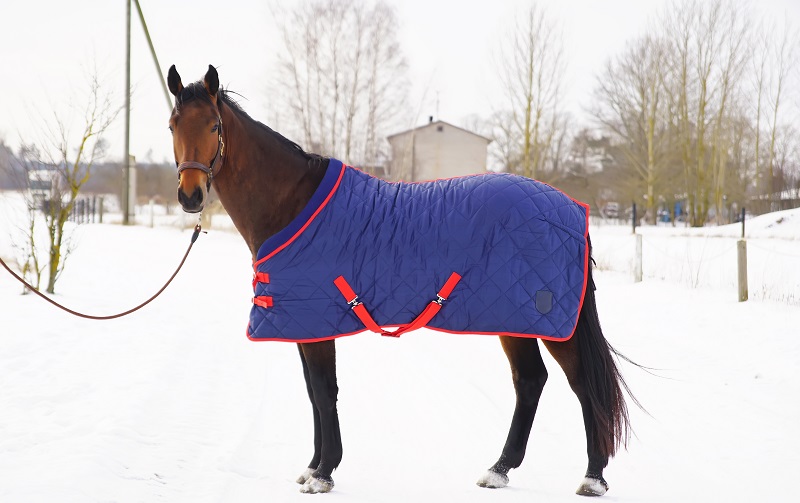 Horse Blankets, are Horse Blankets necessary, horse body temperature, buying a horse blanket, horse blanket do's and dont's, do horses need blankets
