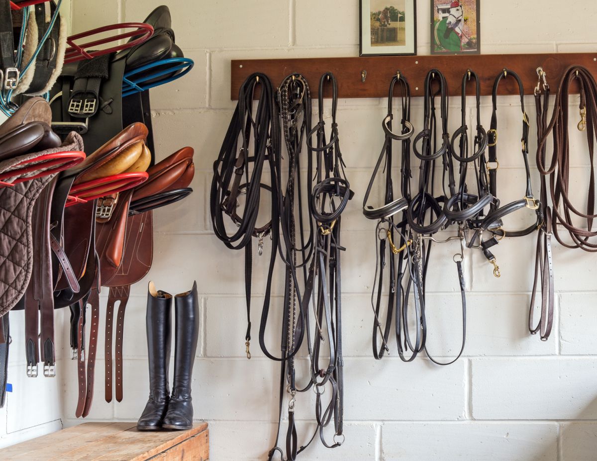 rat horse barn mice, first aid kit stable, tack room horse property, manure management horses