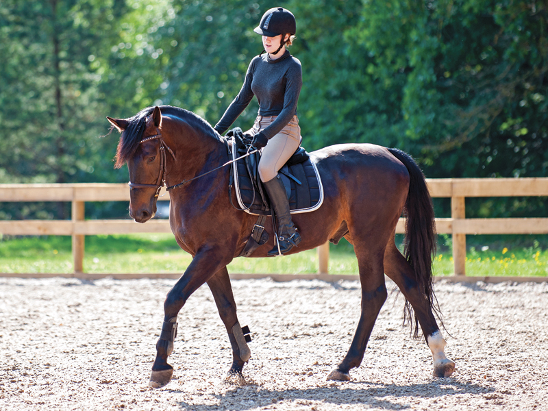 ANNIKA MCGIVERN equestrian psychologist, improve relationship with horse, enjoy riding horses 