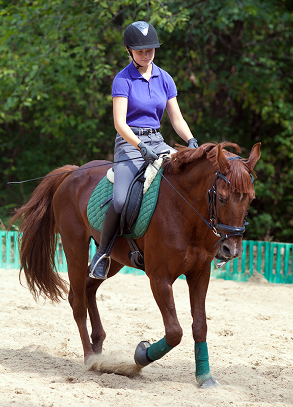 will clinging horse trainer, my horse is anxious, releasing tension horse, riding a spooky horse