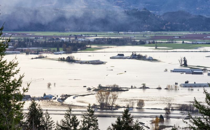 flooding bc horses, livestock in bc during floods, help for horses in bc, horse council bc disaster response