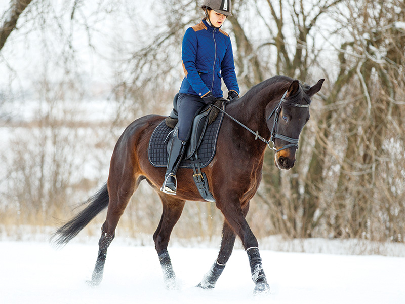 best warm up horse, horse rider warm up, jec ballou equine fitness, balanced horse rider, improve horse fitness