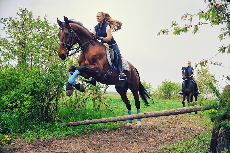 horse riding accidents, should i wear a riding helmet, how to safely ride a horse, gear for horse riding, beginner rider equipment, concussion horse riding, insurance for horse riding