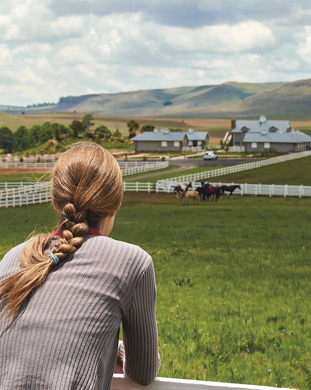 karen weslowski, legal contracts buying a horse property in canada, what to know when buying a horse property in canada