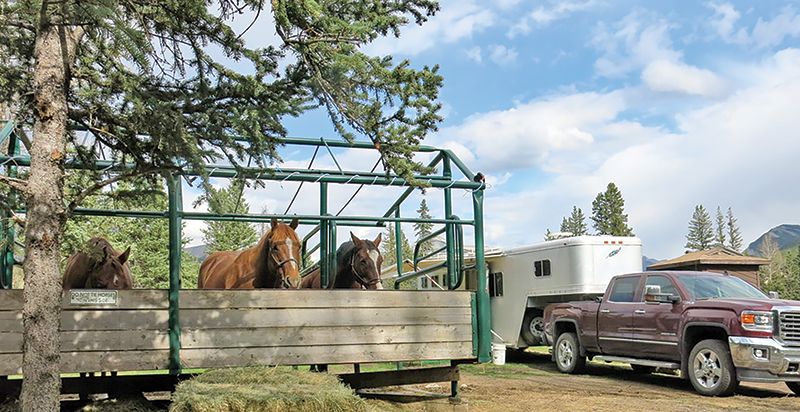 horse camping tips, some ways to improve horse camping, go camping with your horse