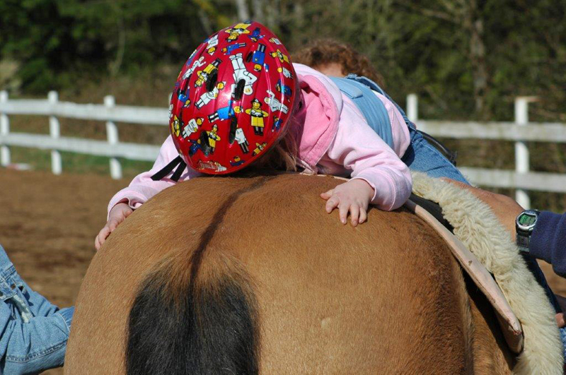horses for therapy, mental health horses, horses to heal