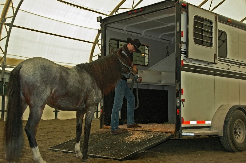 how to reduce horse tranpsort stress, hwo to lower horse's travel stress, how to relax your horse during transport