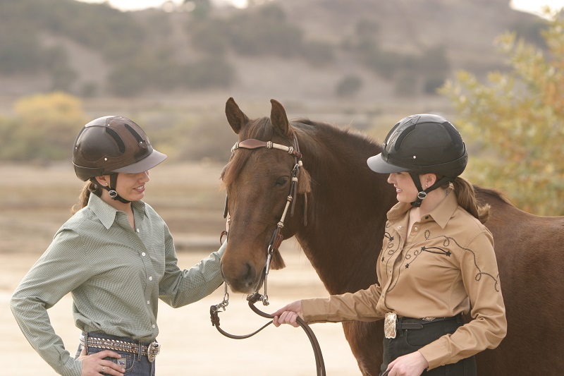 financial cost of horse riding, financial cost of horses, horse budget, equine budget, horsekeeping, financial cost of horsekeeping, save money on horse hay, running a horse farm, running an acreage