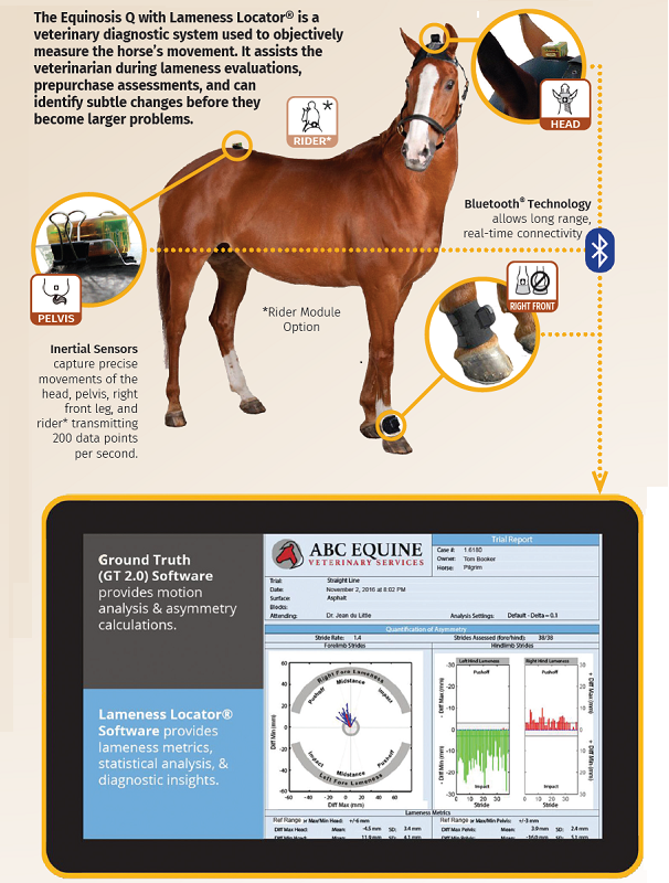 Equinosis Q with Lameness Locator, Veterinary Diagnostic System for horses