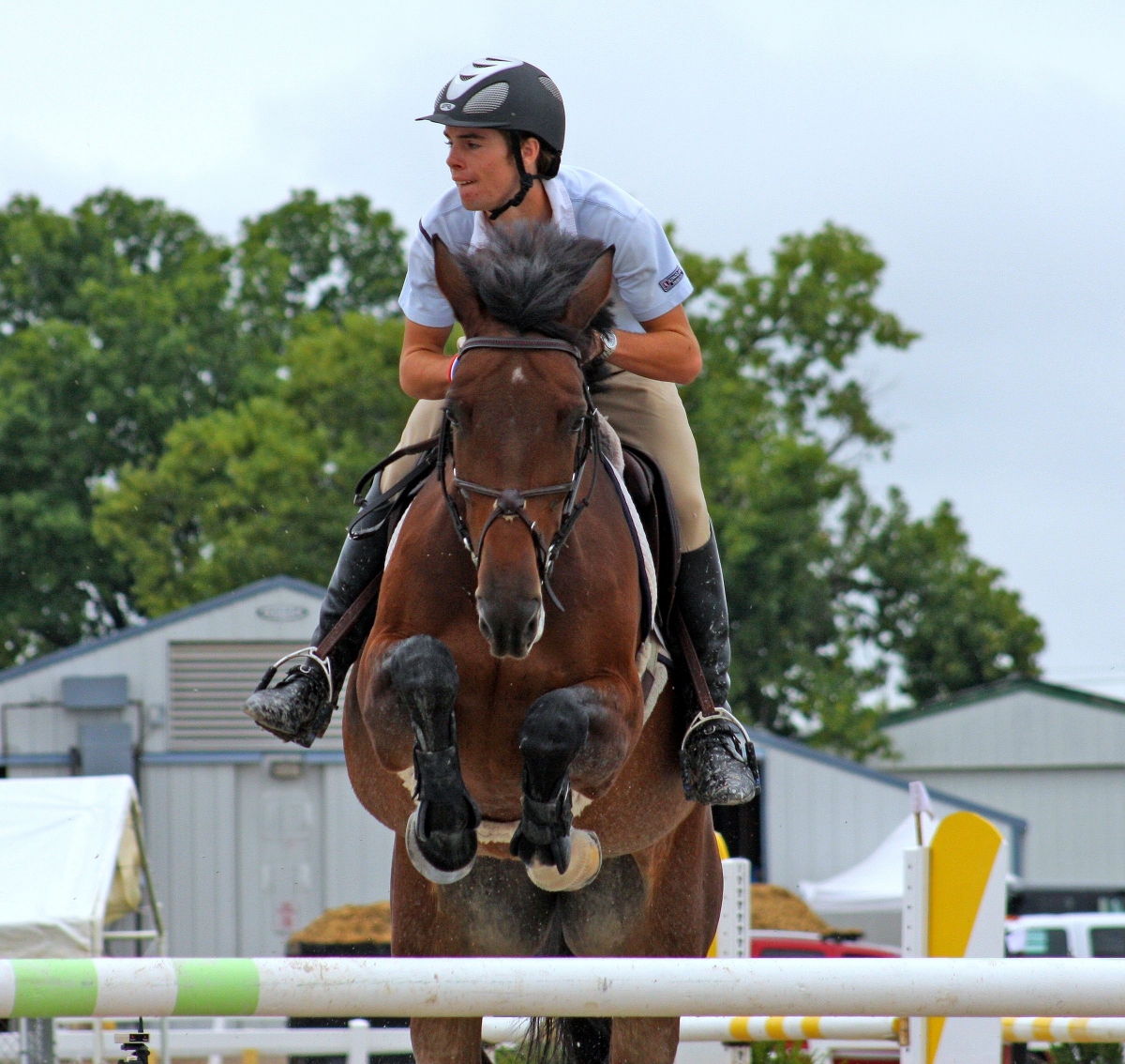 Horse and Rider Jumping