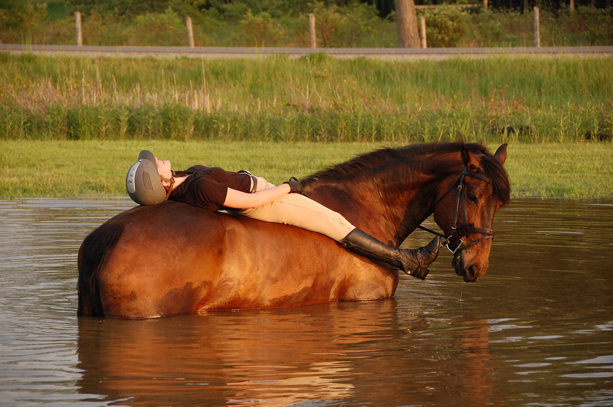Love of Horses Photo Contest