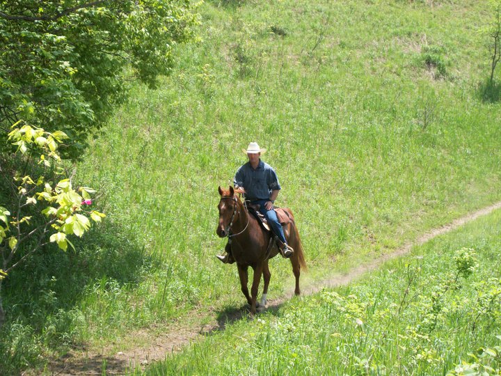 horse laminitis, horse campground ontario, horse campground canada, saugeen bluffs campground, horse vacation ontario, horseback riding canada