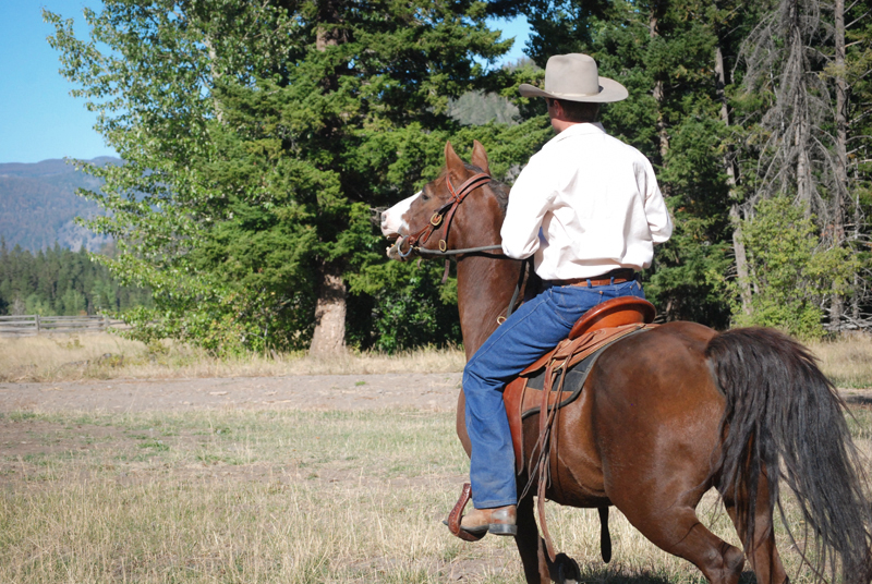 Jonathan Field, herd bound horse, horse training, natural horsemanship, actively helping your horse become calm and relaxed 