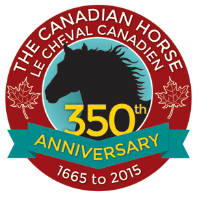 Canadian Horsem woodmont farm, yvonne hillsden, cherry creek canadians, dan wilson, kelly twordik, ebony breeze farm, dorothy kirby, guinness canadian horse