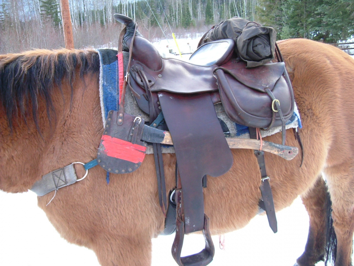 Stan Walchuk Jr, Equine Preparation trail riding, horse trail riding, Saddle Bag Trail Gear
