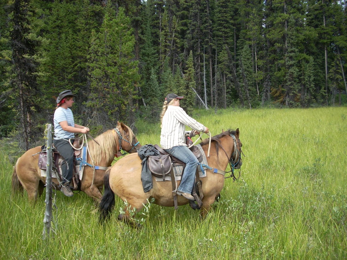 Horsemanship Horse Training Schooling Trail Riding