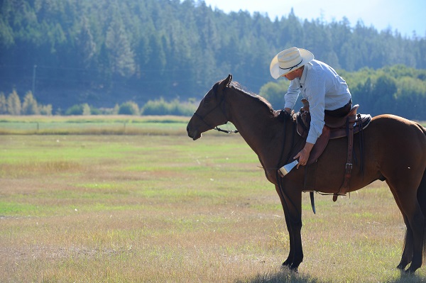  Jonathan Field, Natural Horsemanship, Mounting a Horse, Mounting a Green Horse, Horse Behaviour