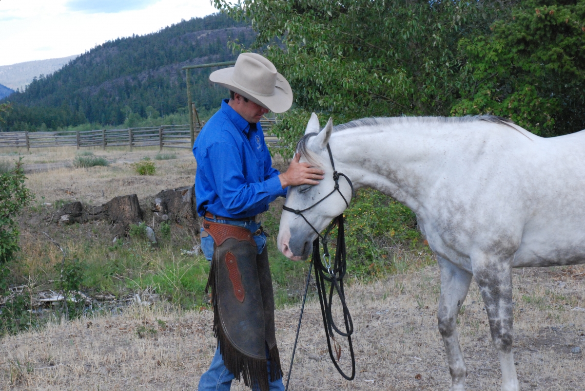 Cultivating Respect Horsemanship Horse Training